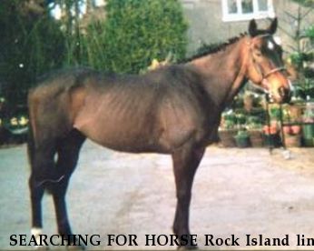 SEARCHING FOR HORSE Rock Island line IRE, Near Stoke on trent, Uk, 000000